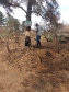 Programa de Voluntariado do IAT leva paranaenses ao Parque Estadual Vale do Codó
.Foto:IAT