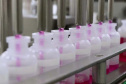 O Tecpar é o único laboratório público brasileiro a produzir a vacina antirrábica veterinária e até o final do ano irá fornecer 19 milhões de doses ao Ministério da Saúde, com o propósito de realizar campanhas de vacinação de cães e gatos em todo o país. Foto: Tecpar
