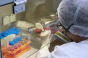 O Tecpar é o único laboratório público brasileiro a produzir a vacina antirrábica veterinária e até o final do ano irá fornecer 19 milhões de doses ao Ministério da Saúde, com o propósito de realizar campanhas de vacinação de cães e gatos em todo o país. Foto: Tecpar