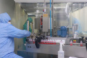 O Tecpar é o único laboratório público brasileiro a produzir a vacina antirrábica veterinária e até o final do ano irá fornecer 19 milhões de doses ao Ministério da Saúde, com o propósito de realizar campanhas de vacinação de cães e gatos em todo o país. Foto: Tecpar
