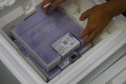 Paraná recebe novo lote de vacinas contra a Covid-19 e distribui 195,3 mil imunizantes Foto: Americo Antonio/SESA