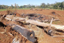 IAT e Polícia Ambiental renovam parceria na fiscalização do Estado. Foto:SEDEST