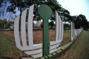 Ex-reitores participam de plantio da peroba em comemoração aos 50 anos da UEL  -  Londrina, 06/10/2021  -  Foto: UEL