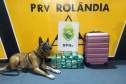 Apreensões de drogas e excesso de velocidade nas rodovias estaduais marcam feriado da Padroeira no Paraná  -  Curitiba, 13/10/2021  -  Foto: BPRv
