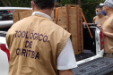 Uma filhote de onça-parda foi submetida a uma cirurgia com células-tronco no Centro de Atendimento à Fauna Silvestre (CAFS), no Hospital Universitário Veterinário da UNIFIL. A Instituição se tornou oficialmente um Centro parceiro do Instituto Água e Terra (IAT) em julho deste ano.  -  Curitiba, 14/10/2021 - Foto: SEDEST
