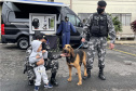 Com exposições de equipamentos, passeios de viatura, tirolesa e até um helicóptero, o Quartel do Comando-Geral abriu as portas para a comunidade entre as 10 e 16 horas deste domingo (17/10) em comemoração ao Dia das Crianças. O evento, que contou com diversos parceiros, foi pensado e organizado para proporcionar um dia especial para os filhos dos policiais militares e para a comunidade no geral. - Curitiba, 17/10/2021 - Foto: PMPR