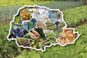 Paraná lança III Plano Estadual de Segurança Alimentar e Nutricional. Imagem: SEAB
