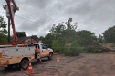 Já passa de 20 mil o total de ocorrências atendidas pela Copel desde o início do temporal da última semana. Somente ontem, cerca de 1,8 mil eletricistas estiveram em campo trabalhando na recomposição dos estragos provocados nas redes elétricas pelo segundo pior evento climático enfrentado pela empresa em toda a sua história.  - Curitiba, 18/10/2021 - Foto: Copel