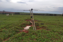 Já passa de 20 mil o total de ocorrências atendidas pela Copel desde o início do temporal da última semana. Somente ontem, cerca de 1,8 mil eletricistas estiveram em campo trabalhando na recomposição dos estragos provocados nas redes elétricas pelo segundo pior evento climático enfrentado pela empresa em toda a sua história.  - Curitiba, 18/10/2021 - Foto: Copel