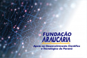 Com o objetivo de fortalecer a interação entre as instituições de ensino superior do Paraná e a sociedade através do desenvolvimento de diferentes estratégias e projetos de educação e divulgação da ciência, foi lançado nesta segunda-feira (18) o Novo Arranjo de Pesquisa e Inovação (NAPI) Educação para a Ciência e Divulgação Científica. - Curitiba, 18/10/2021 - Foto: Fundação Araucária