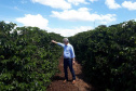 Entrega de pavimentação de estrada rural e de máquinas, caminhão e equipamentos para cooperativas de agricultura familiar, inauguração de cozinha comunitária. Estas foram algumas das ações dos secretários estaduais da Agricultura e do Abastecimento, Norberto Ortigara, e do Planejamento e Projetos Estruturantes, Valdemar Bernardo Jorge, na semana passada na região do Norte Pioneiro. - Curitiba, 08/11/2021 - Foto: SEAB
