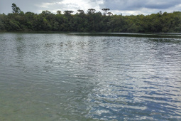  O governador Carlos Massa Ratinho Junior assinou nesta quarta-feira (19) o contrato de concessão de áreas do Parque Estadual Vila Velha, em Ponta Grossa, nos Campos Gerais, para a empresa Eco Parques do Brasil S/A. A empresa vai investir em serviços de apoio à visitação, turismo sustentável e recreação é de trinta anos. Foto: José Fernando Ogura/AEN