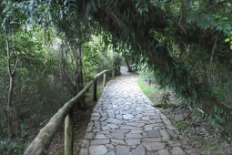  O governador Carlos Massa Ratinho Junior assinou nesta quarta-feira (19) o contrato de concessão de áreas do Parque Estadual Vila Velha, em Ponta Grossa, nos Campos Gerais, para a empresa Eco Parques do Brasil S/A. A empresa vai investir em serviços de apoio à visitação, turismo sustentável e recreação é de trinta anos. Foto: José Fernando Ogura/AEN