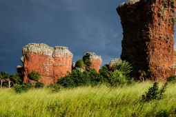 O governador Carlos Massa Ratinho Junior assinou nesta quarta-feira (19) o contrato de concessão de áreas do Parque Estadual Vila Velha, em Ponta Grossa, nos Campos Gerais, para a empresa Eco Parques do Brasil S/A. 