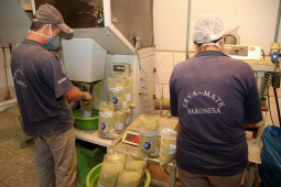 Feito no Paraná Empresa Baronesa Ervateira. Foto: Ari Dias/AEN