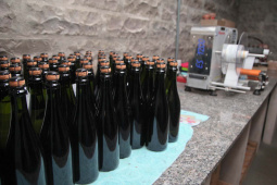 Feito no Paraná - Vinícola RH, em Mariópolis  Foto: Ari Dias/AEN