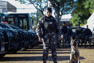 Operação Sinergia leva reforço operacional e ações estratégicas de segurança a Sarandi e regiãoGestantes: Paraná aplicou mais de...