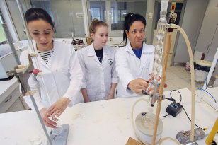 Estudantes e pesquisadores podem se inscrever para experiência em quatro paísesPeríodo para lances em leilão de 92 veículos ofic...