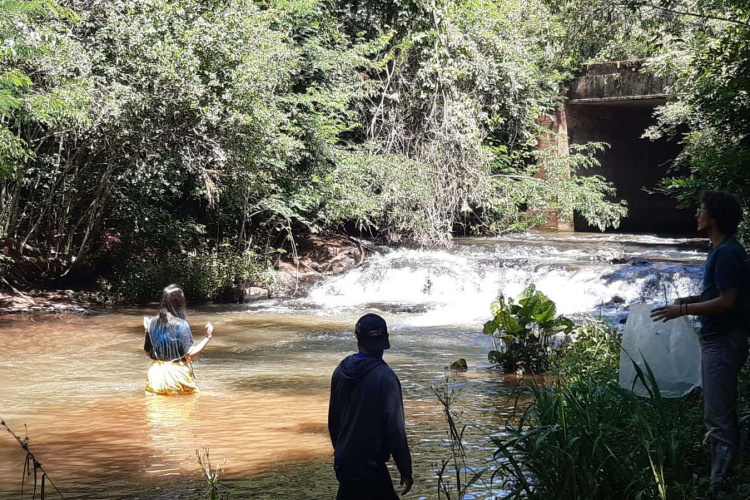 A Sanepar, o Grupo Amigos dos Rios e a Secretaria Municipal de Meio Ambiente de Cascavel farão o repovoamento dos rios Cascavel e Saltinho nesta quarta-feira (24), Dia do Rio. As ações comemorativas preveem o lançamento de sete mil peixes das espécies jundiá e lambari, nativas da bacia do Rio Iguaçu, da qual fazem parte os rios que abastecem Cascavel. - Cascavel, 22/11/2021 - Foto: Sanepar