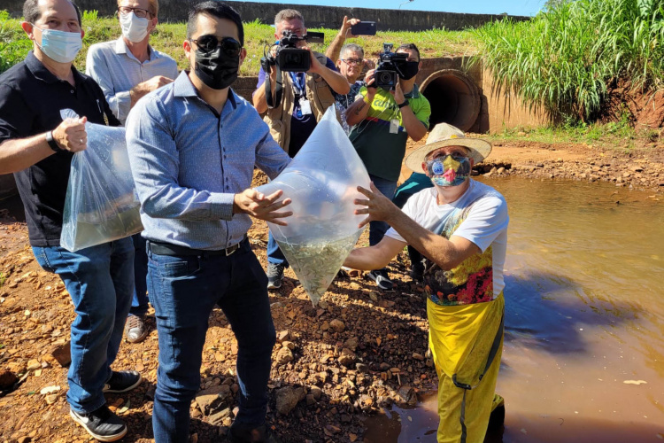 Jundiás e Lambaris são lançados em mananciais de abastecimento de Cascavel - Ação da Sanepar e parceiros visa aumentar a biodiversidade e melhorar a qualidade ambiental - Cascavel, 24/11/2021 - Foto: Sanepar