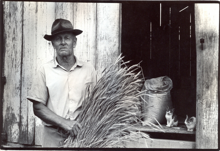 A partir de imagens reproduzidas de coleções de fotografia do museu, além de câmeras fotográficas, chapas de negativo de vidro e outros suportes fotográficos, o Museu da Imagem e do Som do Paraná apresenta a exposição Imagens do MIS: Diálogos com o Tempo. Com material variado ? ícones produzidos entre 1910 e 1980 ?, a mostra é a primeira com audiodescrição do museu, refletindo a preocupação com a inclusão.  - Curitiba, 26/11/2021 - Foto: Acervo MIS