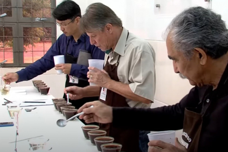 Os finalistas do Concurso Café Qualidade Paraná foram conhecidos nesta quinta-feira, dia 25, com a divulgação do resultado da 19º edição do concurso que já virou tradição no estado e tem a intenção de promover a bebida e valorizar o cafeicultor paranaense. Neste ano o Concurso Café Qualidade Paraná selecionou os três melhores lotes em cada uma das categorias: Café Natural, Cereja Descascado e Fermentação Induzida. - Curitiba, 26/11/2021 - Foto: IDR-PARANÁ