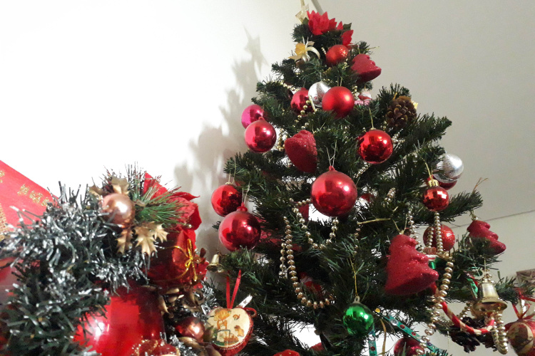 Copel dá dicas para instalar a iluminação de Natal com segurança - Curitiba, 26/11/2021 - Foto: Copel