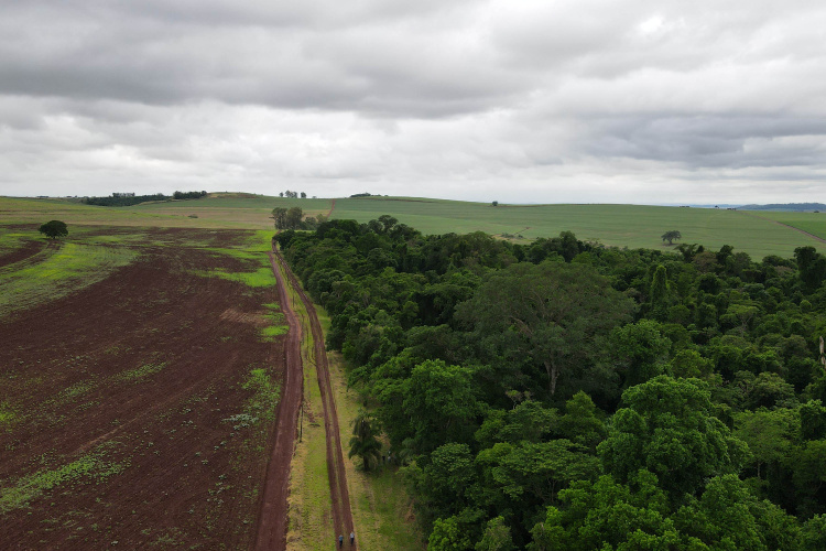 RPPN São Sebastião - Jacarezinho/PR - Foto: IAT
