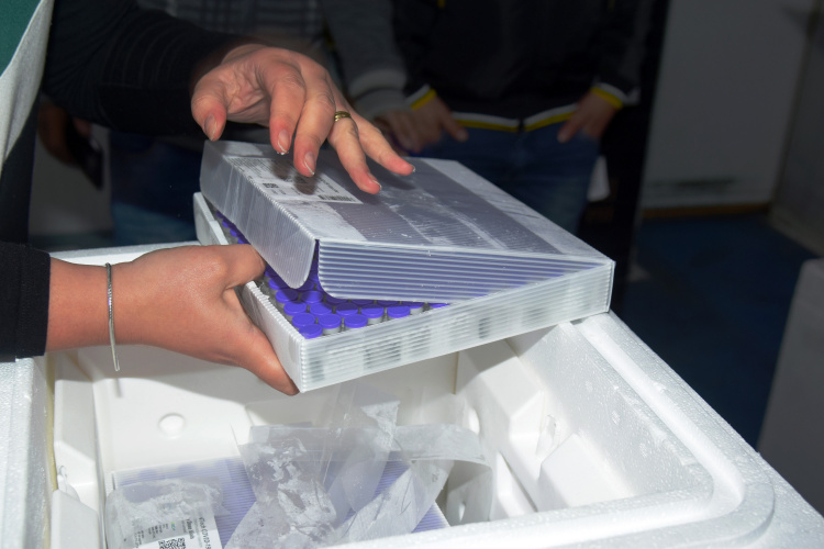 Mais 170 mil vacinas da Pfizer contra a Covid-19 devem chegar ao Paraná nesta terça