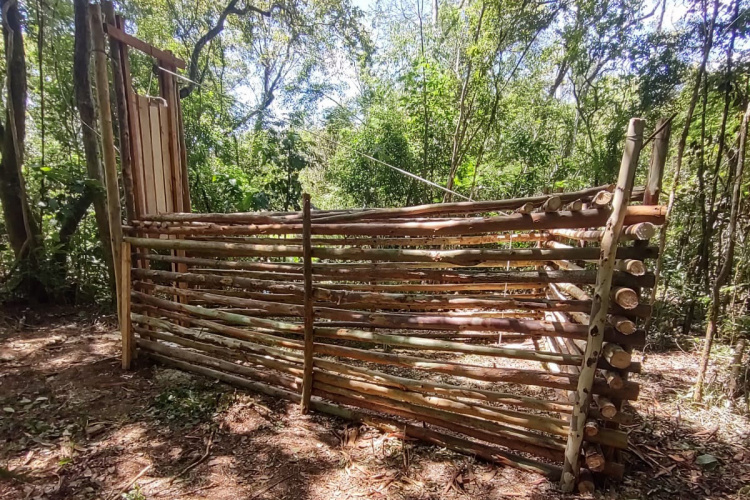 O Instituto Água e Terra (IAT), órgão vinculado à Secretaria de Estado do Desenvolvimento Sustentável e do Turismo (Sedest), iniciou a instalação de armadilhas para a captura de javalis no Parque Estadual Vila Rica do Espírito Santo, no município de Fênix. A espécie é considerada exótica invasora e causa prejuízos à fauna e flora local. - Curitiba, 29/11/2021 - Foto: IAT