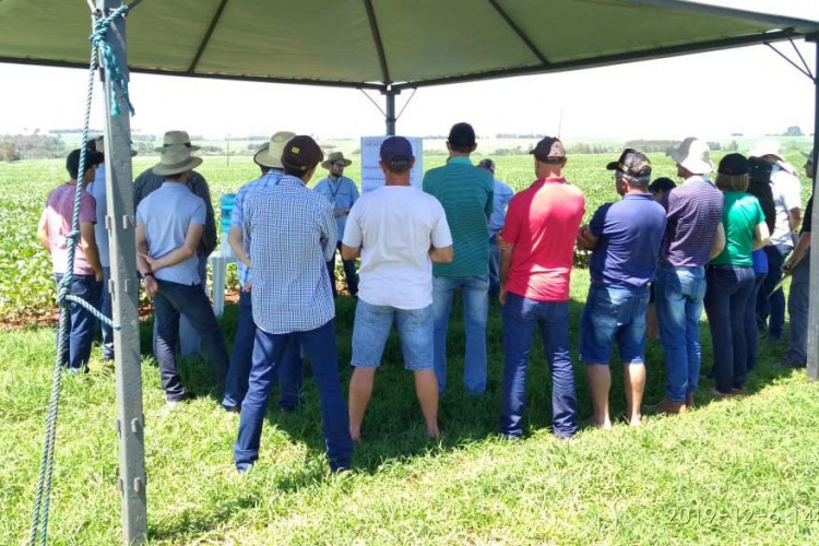 Organizado pelo IDR-Paraná (Instituto de Desenvolvimento Rural do Paraná-Iapar-Emater) e Embrapa Soja o Giro Técnico da Soja-Safra 2021/2022 tem início na próxima segunda-feira, dia 29 e será realizado em 16 municípios do Paraná. O objetivo é promover uma discussão entre extensionistas, pesquisadores e produtores sobre os resultados das boas práticas agrícolas e como essas tecnologias podem ser adotadas na propriedade.  - Curitiba, 25/11/2021 - Foto: IDR-PARANÁ