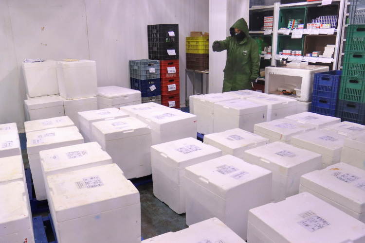 Paraná recebe 278 mil vacinas para D2, adolescentes e municípios de fronteira