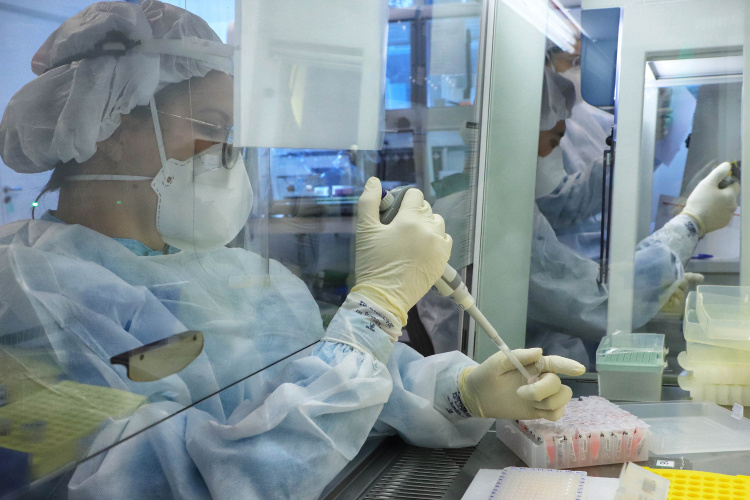 Aberta inscrição para mestrado e doutorado em Genética e Melhoramento - Foto: José Fernando Ogura/AEN