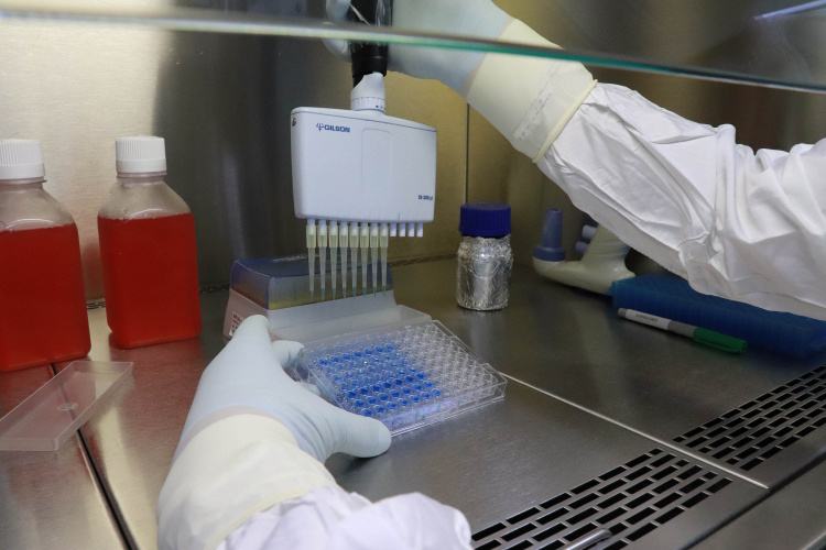 Tecpar lança agenda ESG com ações sociais, ambientais e de governança