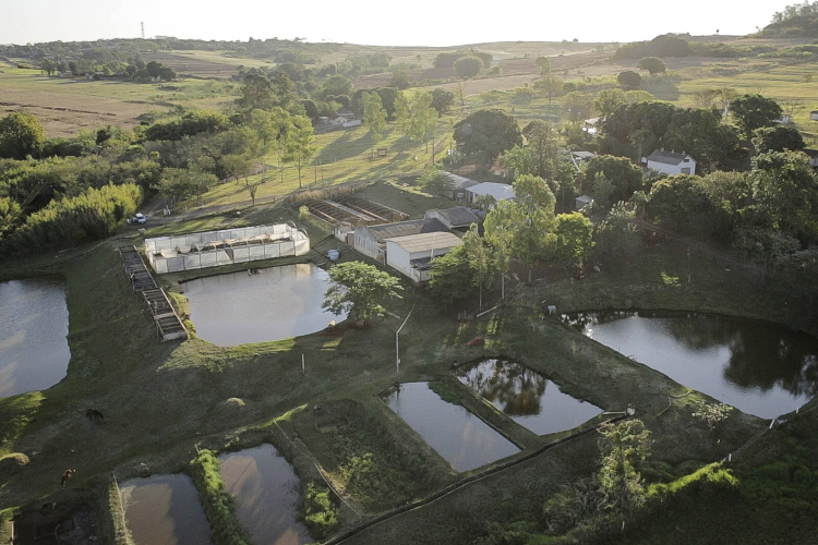 Especial Estação de Piscicultura - seu papel na pesquisa de excelência