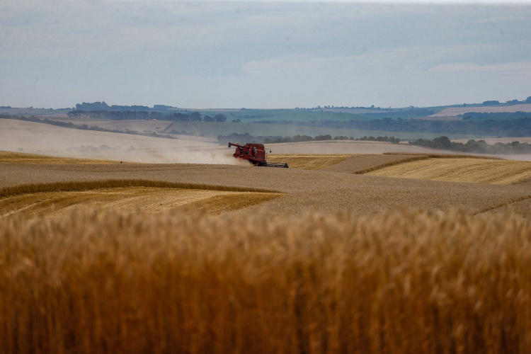 Safra de verão no Paraná pode chegar a 25,61 milhões de toneladas.