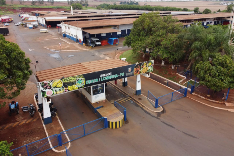 Ceasa Londrina abre licitações de áreas para o comércio atacadista