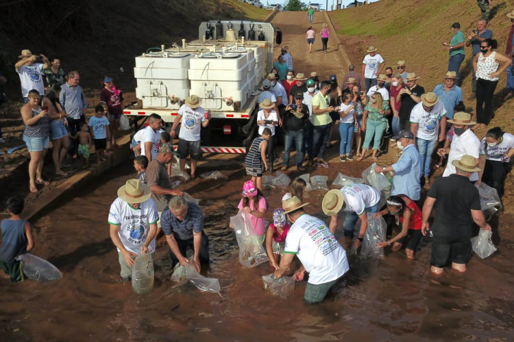 A soltura de 20 mil dourados e 200 mil lambaris no Reio Ivaí, em Mirador, no Noroeste, contou com a presença de 200 participantes do 20º Hally Fluvial SOS Rio Ivaí, neste final de semana. Os competidores foram recepcionados pelo secretário do Desenvolvimento Sustentável e do Turismo (Sedest), Márcio Nunes  -  Mirador, 14/11/2021 - Foto: Alessandro Vieira/Sedest