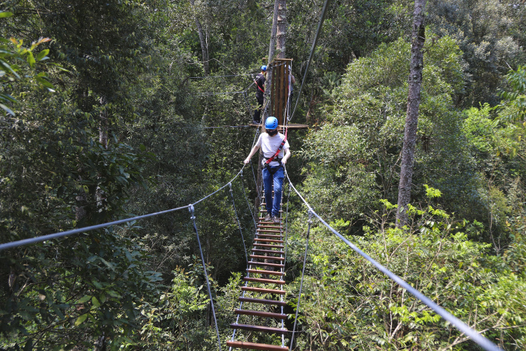 Concessão de parques abre oportunidades a profissionais de turismo