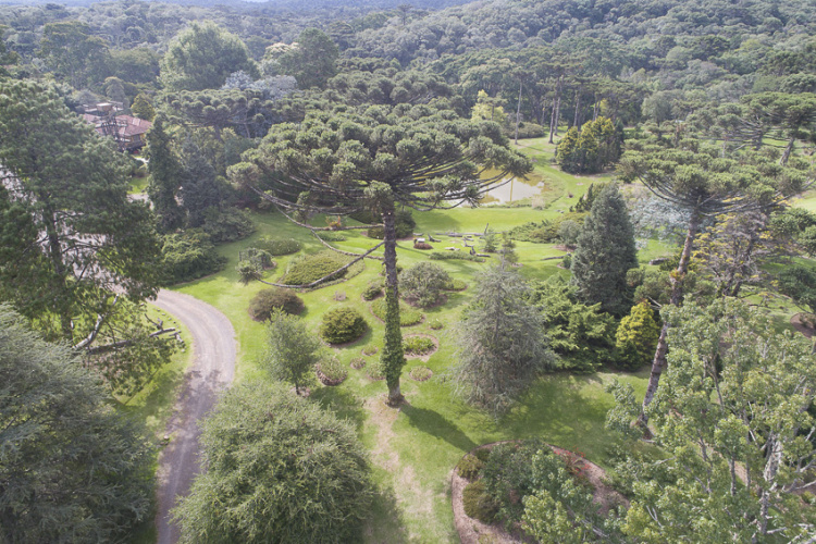 De olho na sustentabilidade, Copel se mantém na carteira do Índice de Carbono Eficiente da B3