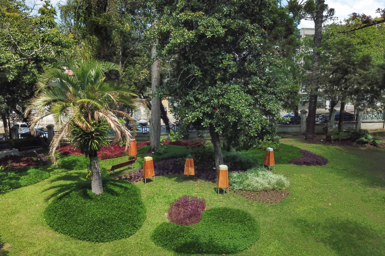 MUPA promove cinco meses de programação focada nas relações entre humanos e plantas