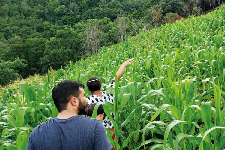 Famílias beneficiadas pelo Renda Agricultor Familiar têm suas histórias narradas em revista