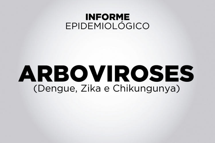 Mais 5.514 casos e seis óbitos por dengue são confirmados no Paraná