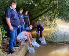 A Companhia de Saneamento do Paraná (Sanepar) fez a soltura de peixes no Rio do Lontra, manancial que abastece os moradores de Salto do Lontra, na terça-feira (23). Na ação, que faz parte das comemorações do Dia do Rio, foram lançados 5 mil peixes em idade juvenil das espécies lambari e jundiá. Essas espécies fazem parte da fauna da bacia do Baixo Iguaçu, na qual está inserido o Rio do Lontra. -  Salto do Lontra, 23/11/2021 - Foto: Sanepar