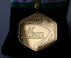 Auditora fiscal é condecorada com a primeira Medalha de Mérito Fazendário Paraná 