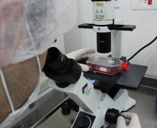 O Instituto de Tecnologia do Paraná (Tecpar), o Centro de Produção e Pesquisa de Imunobiológicos (CPPI) e a Fundação Estatal de Atenção em Saúde do Estado do Paraná (Funeas) buscam oportunidades de atuação em conjunto em projetos de Pesquisa e Desenvolvimento (P&D), de forma a trazer, de maneira mais eficiente, novas soluções para a área da saúde para o Paraná.- Curitiba, 11/11/2021 - Foto: Tecpar