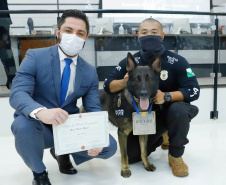 A Polícia Civil do Paraná (PCPR) recebeu homenagem inédita à atuação de um dos cães e seu condutor, em Maringá, região Norte do Estado, na terça-feira (9). É a primeira vez que um dos cachorros policiais da instituição é homenageado individualmente. O título do mérito comunitário foi concedido pela Câmara de Vereadores de Maringá ao cão Chris Cornell e ao investigador Marcos Shinnae.  - Maringá, 09/11/2021 - Foto: PCPR