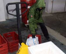 Mais 67,8 mil vacinas contra a Covid-19 chegaram ao Paraná nesta terça-feira. Foto: Américo Antonio/SESA