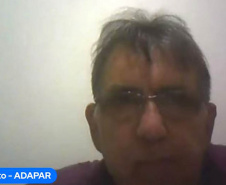 O Paraná intensificou, neste ano, as ações integradas para combate à deriva de defensivos agrícolas. Parte dos resultados, além de orientações e metas dessa iniciativa foram discutidos no evento online “Ação Integrada de Coexistência entre Agricultura, Apicultura, Meliponicultura e Sericicultura”, na quarta-feira (10). O debate teve a participação de representantes da Secretaria da Agricultura e do Abastecimento, Instituto de Desenvolvimento Rural do Paraná Iapar- Emater (IDR-Paraná), Agência de Defesa Agro