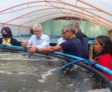 O secretário da Agricultura e do Abastecimento, Norberto Ortigara visita a Villa Peixes, em Curitiba. Foto:SEAB